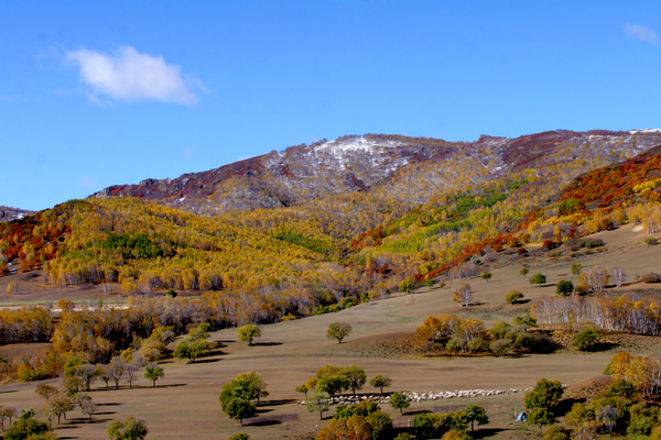 ���ɹŰ��Ϲ��� (21).JPG