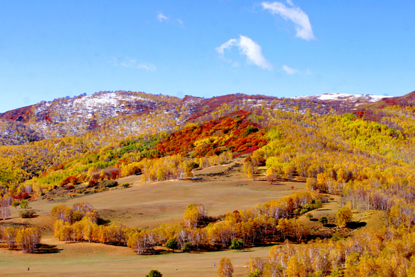 ���ɹŰ��Ϲ��� (29).JPG