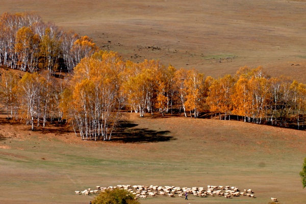 ���ɹŰ��Ϲ��� (5).JPG