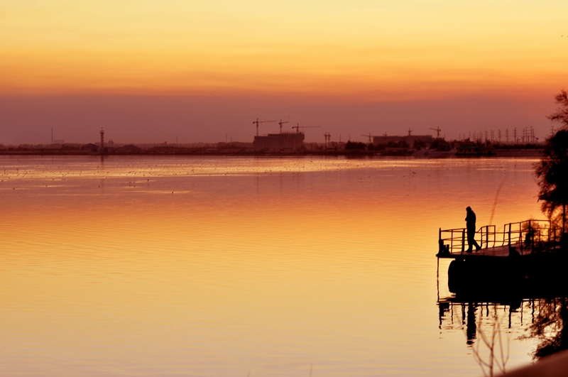 ���� _DSC0012.JPG