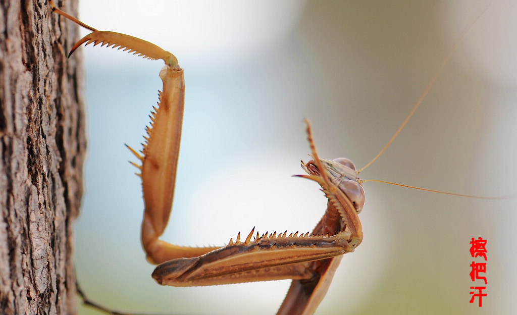 NiKonD3X JPG��2012��10��9�ա���� 082.jpg