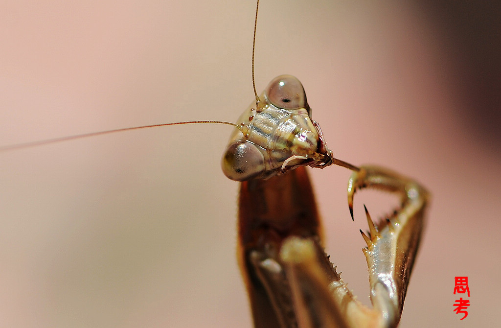 NiKonD3X JPG��2012��10��9�ա���� 065.jpg