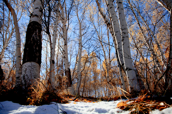 ���ɰ��ϴ���� (2).JPG