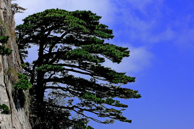 ��ɽ�� 02.jpg