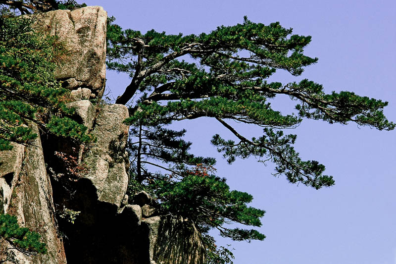 ��ɽ�� 04.JPG