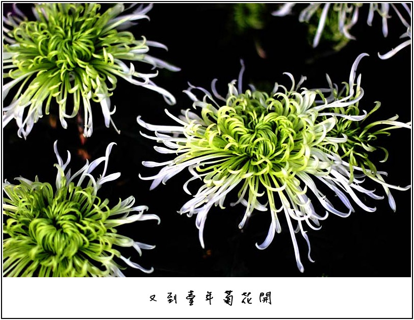 �ջ���Ƭ 028_����.jpg