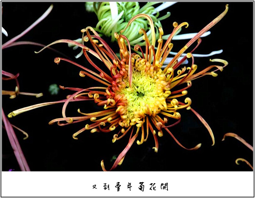 �ջ���Ƭ 071_����.jpg