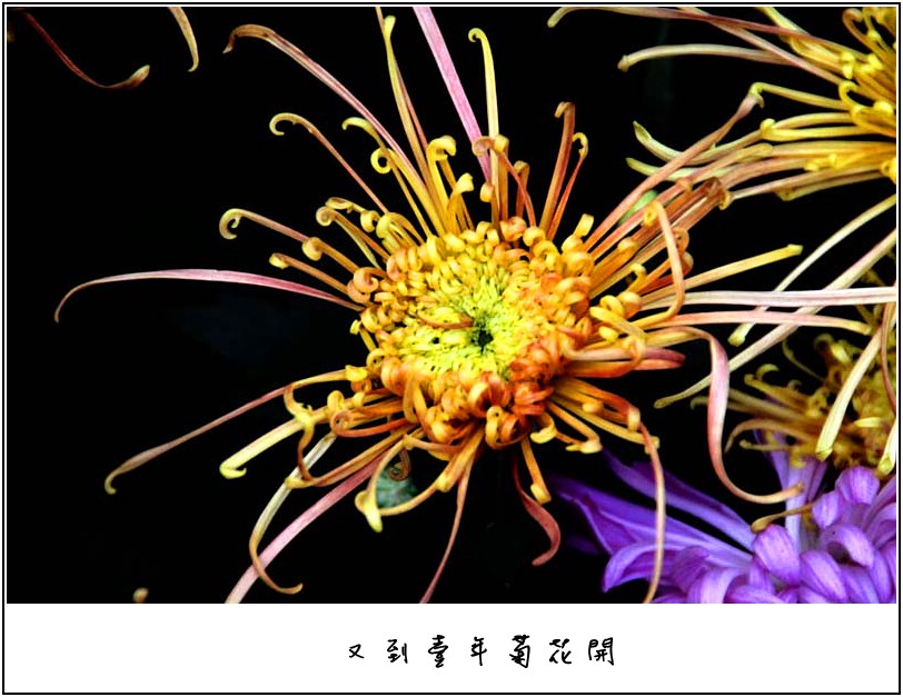 �ջ���Ƭ 070_����.jpg