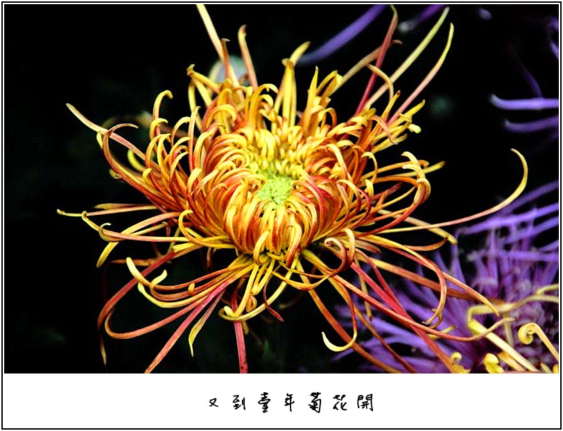 �ջ���Ƭ 064_����.jpg