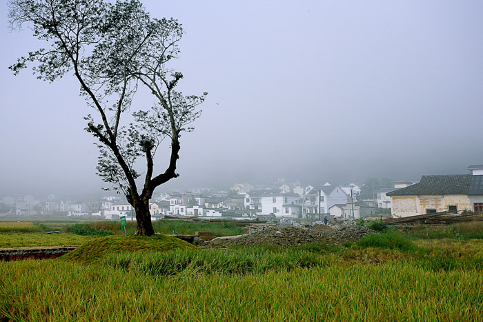 ���糿�� 02 IMG_3826����-1.jpg