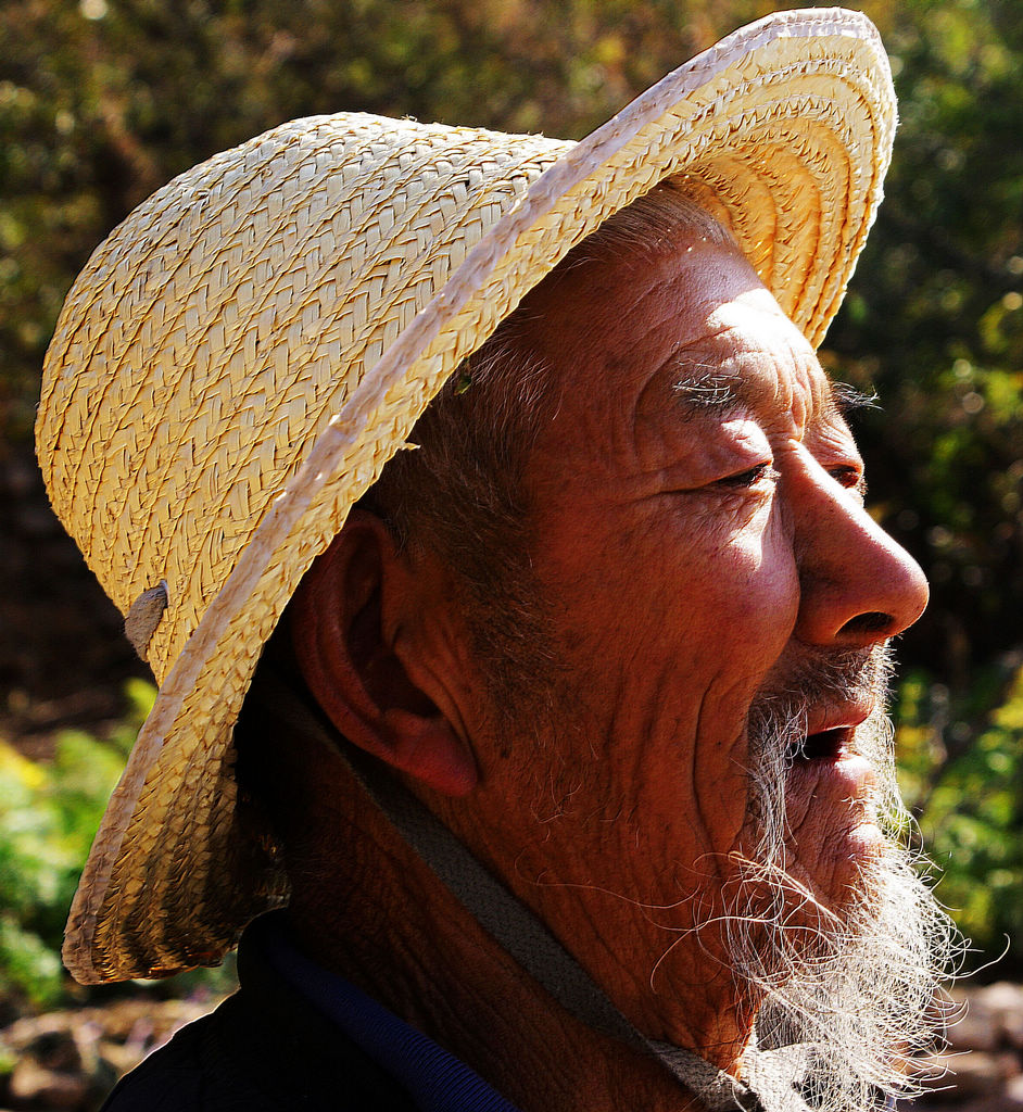 nEO_IMG_DSC09547 - ����.jpg