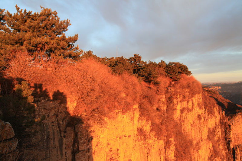 IMG_9415 ���� 3.jpg