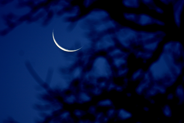 ��ҹ   IMG_6120����.jpg