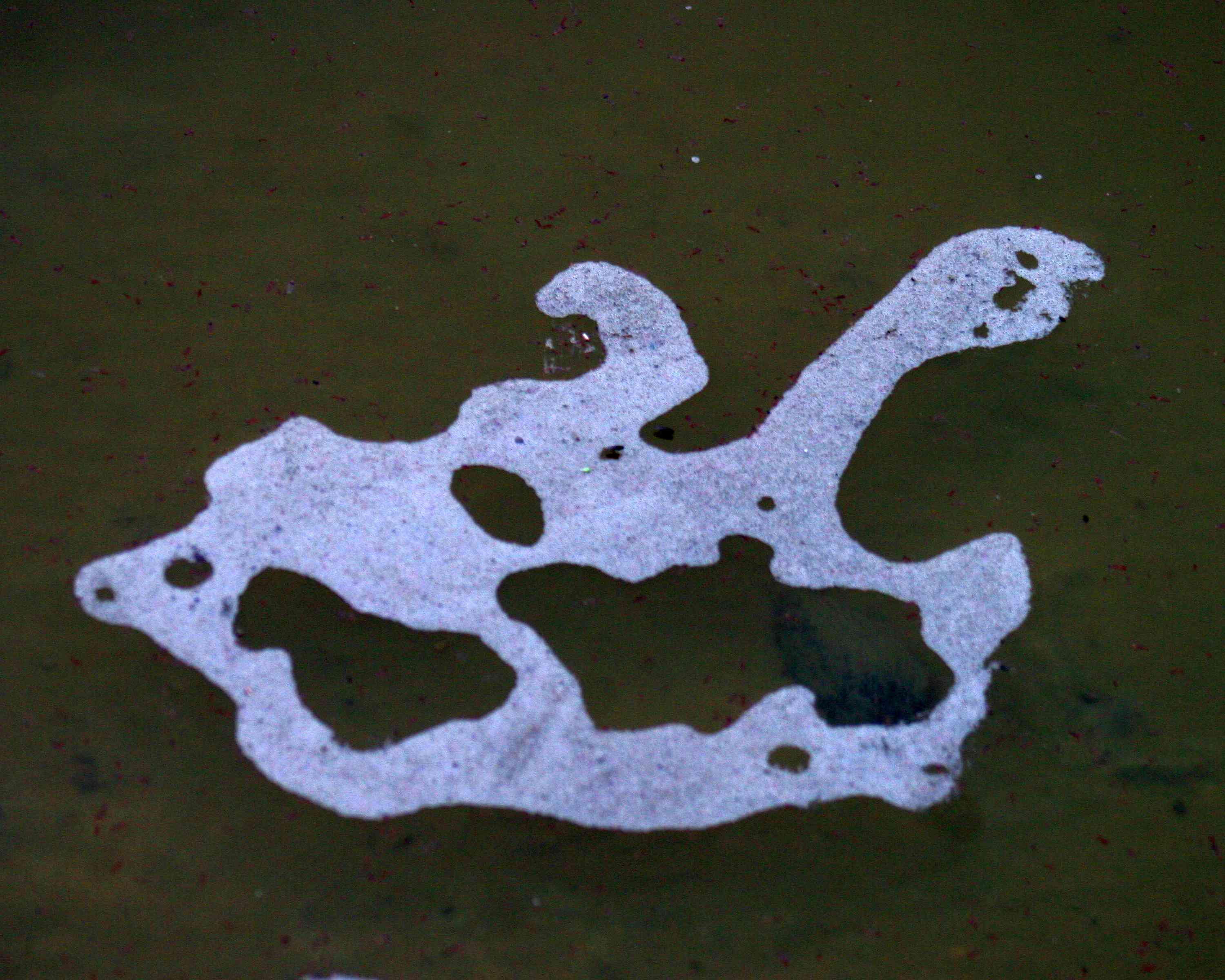 �κ���Ư����ĭ (2).JPG