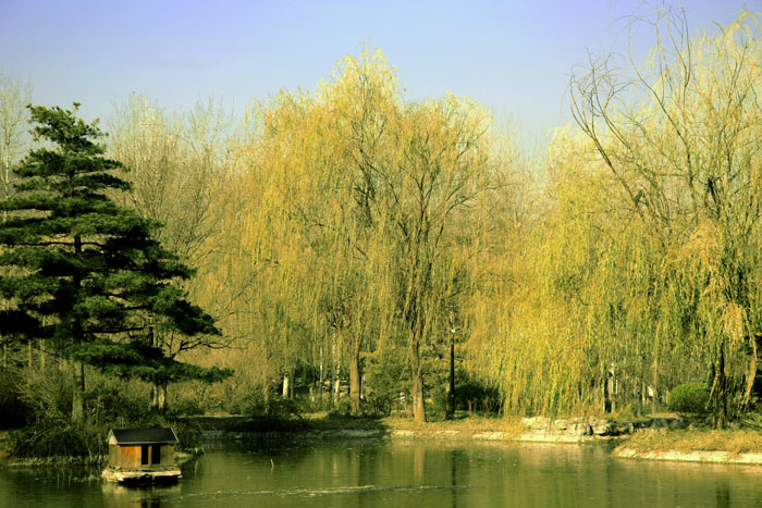 ��ɫ IMG_6375����.jpg