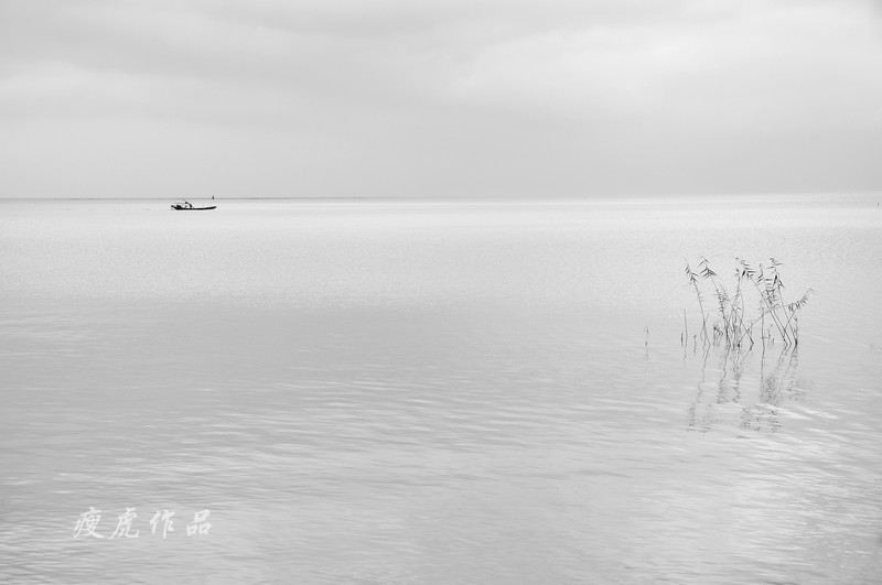 ̫������