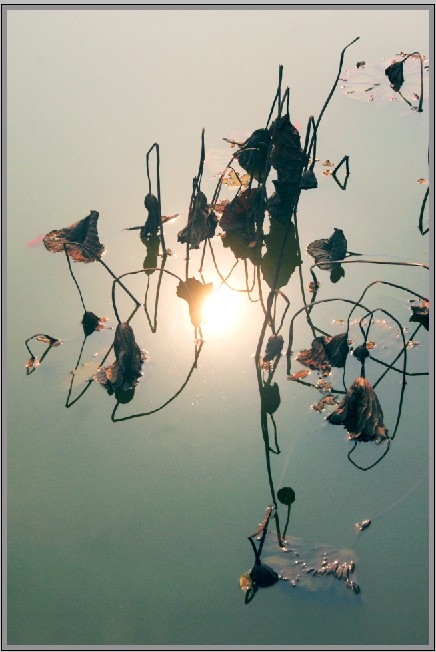 ˮ�����⡭