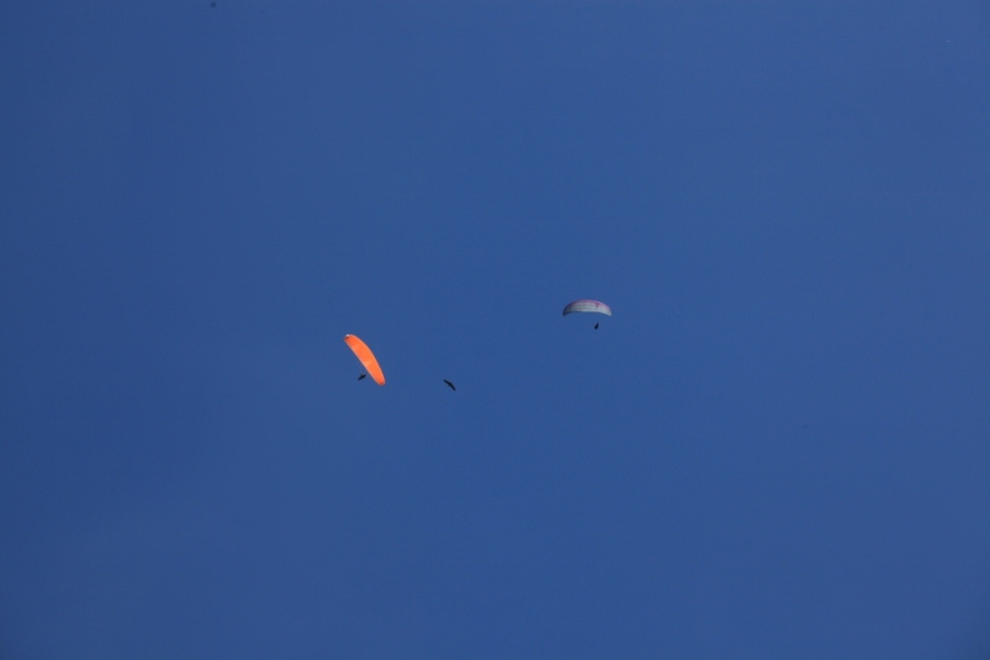 24 ��ӥͬ��.jpg