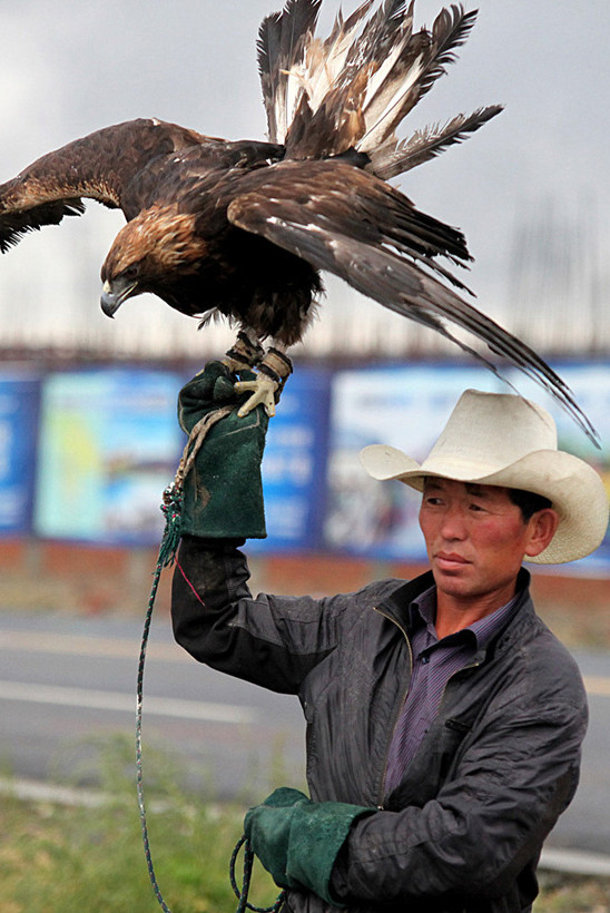 ����Ф�� (8).jpg