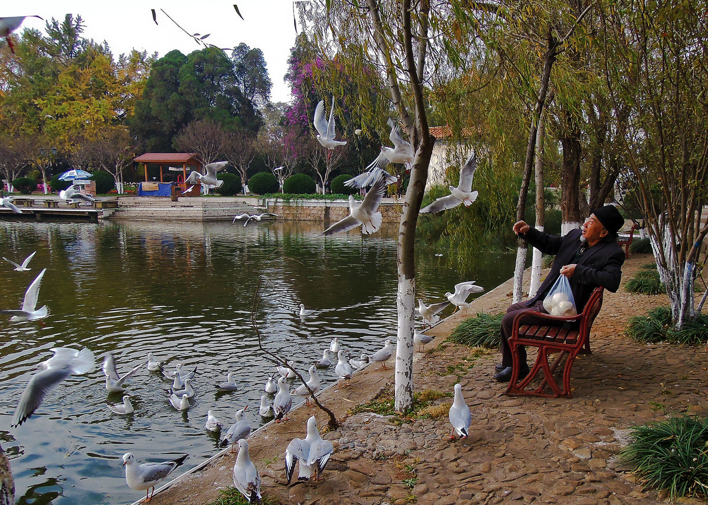 �������������¥