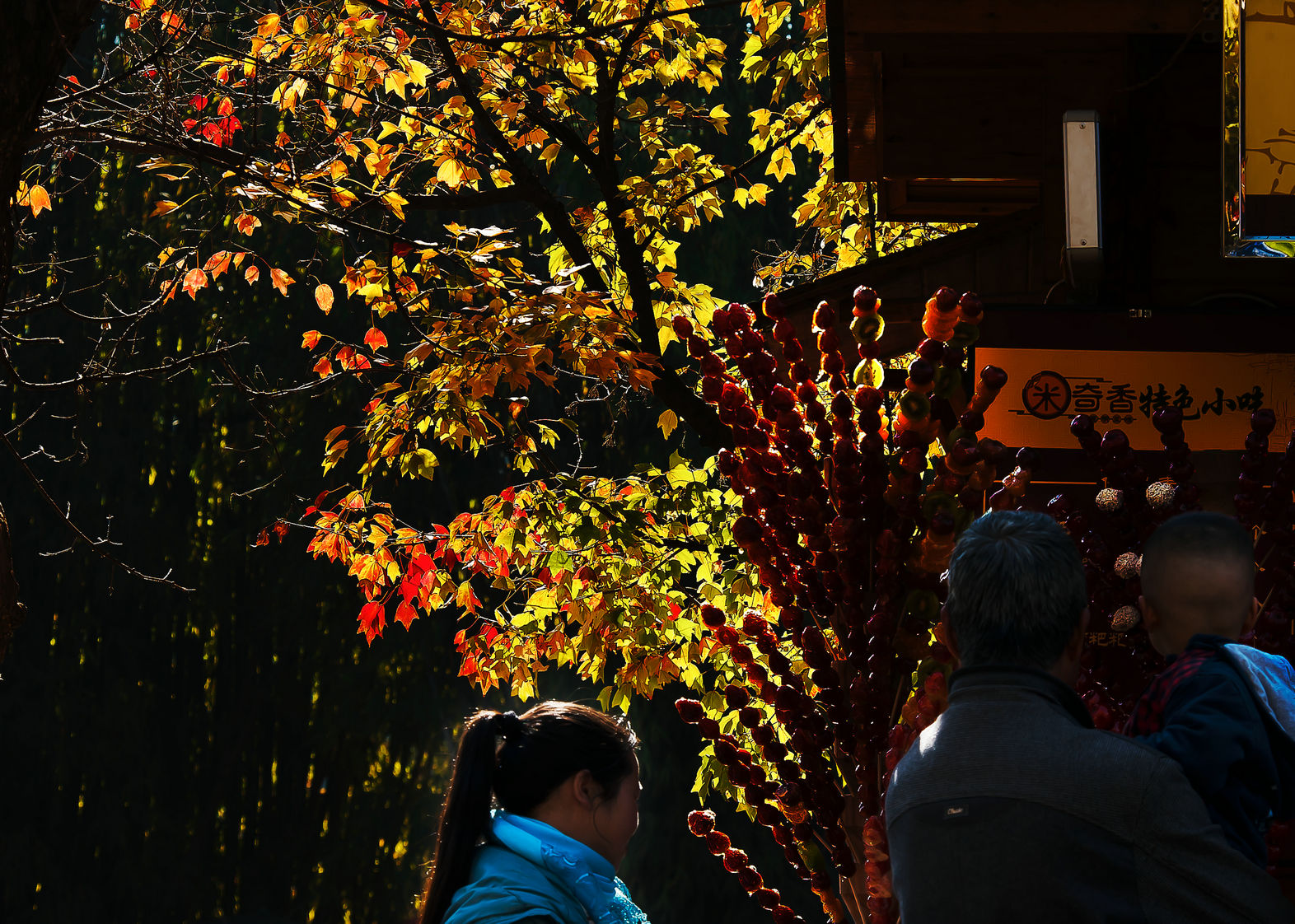 �������������