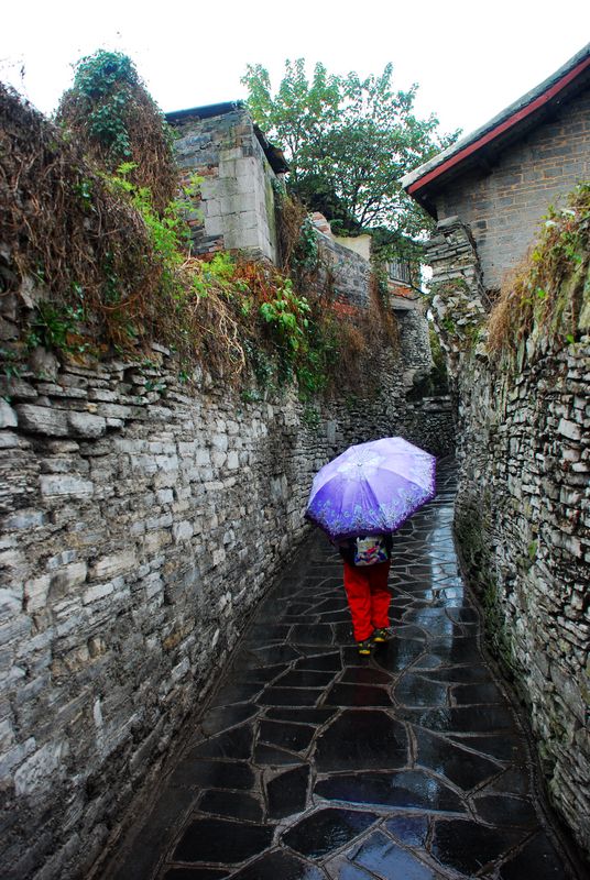 ��ѧ��Сѧ������С����