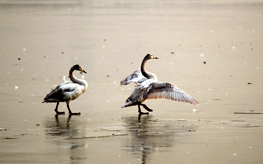 �����Ƭ 041_����.jpg