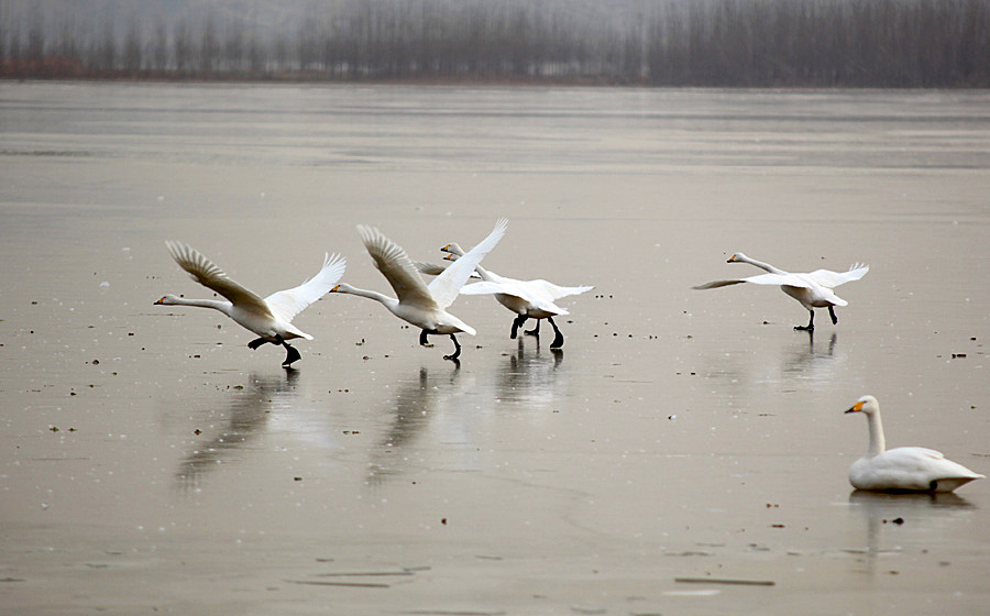 �����Ƭ 108_����.jpg