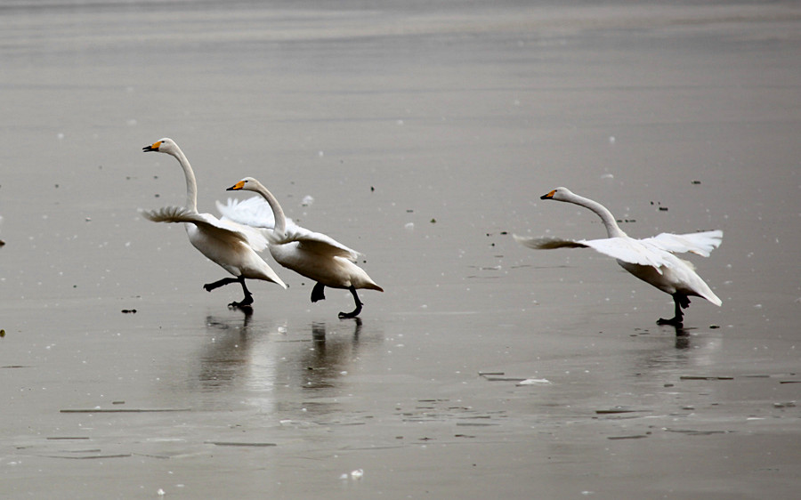 �����Ƭ 179_����.jpg