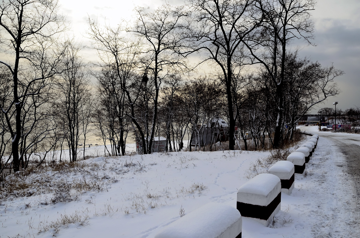 ���ŹصĶ���