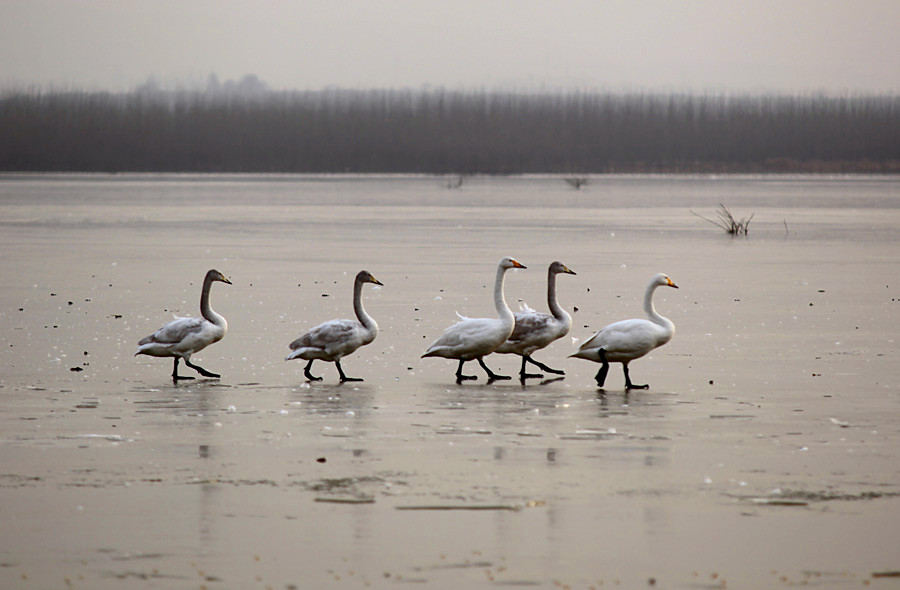 �����Ƭ 034_����.jpg