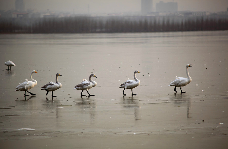 �����Ƭ 038_����.jpg