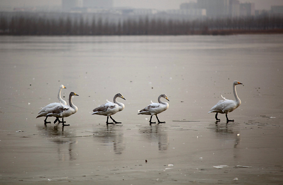 �����Ƭ 039_����.jpg