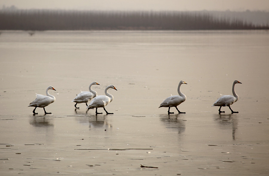 �����Ƭ 048_����.jpg