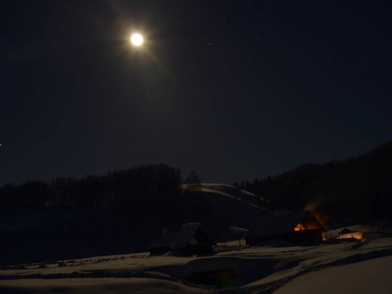 ��ĩ�ĺ�ľ�¹�