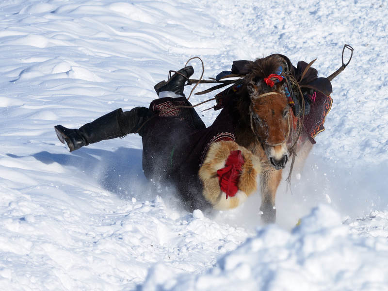 ��������