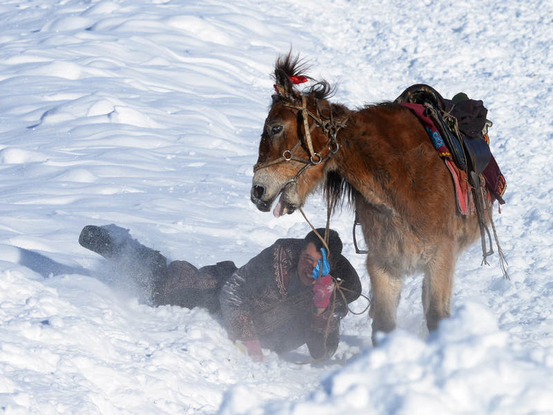 �¸ҵ�����������