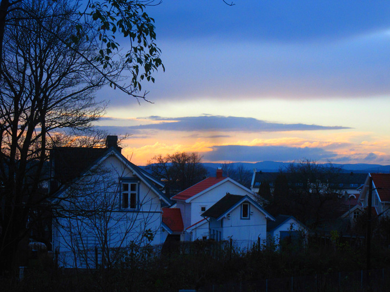 ������Сľ��