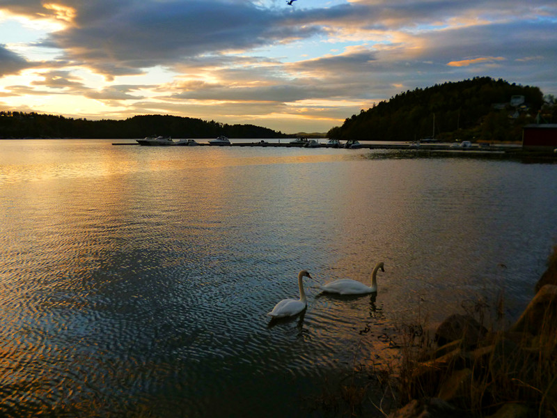 P1010555_.jpg