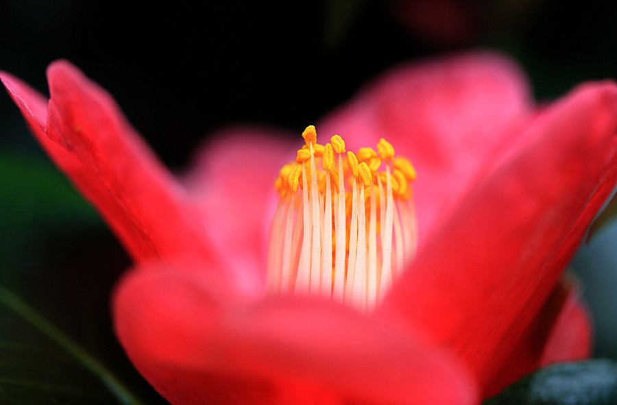 ������Ƭ (3)_����.jpg