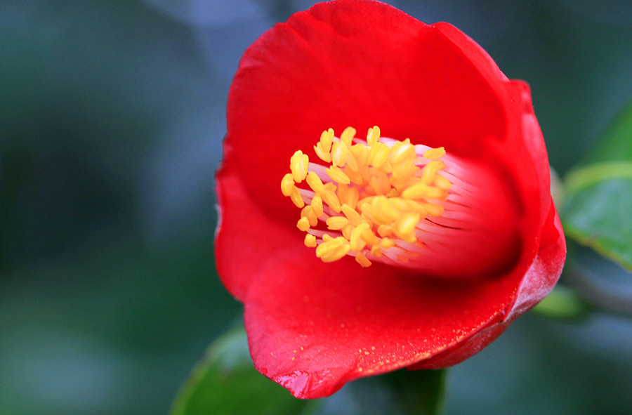 ������Ƭ (141)_����.jpg