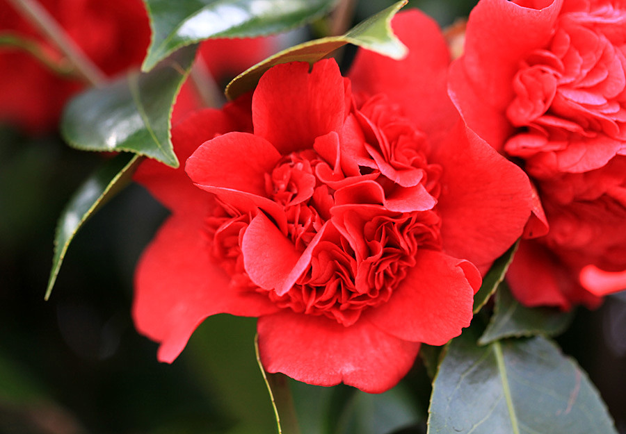 ������Ƭ (151)_����.jpg