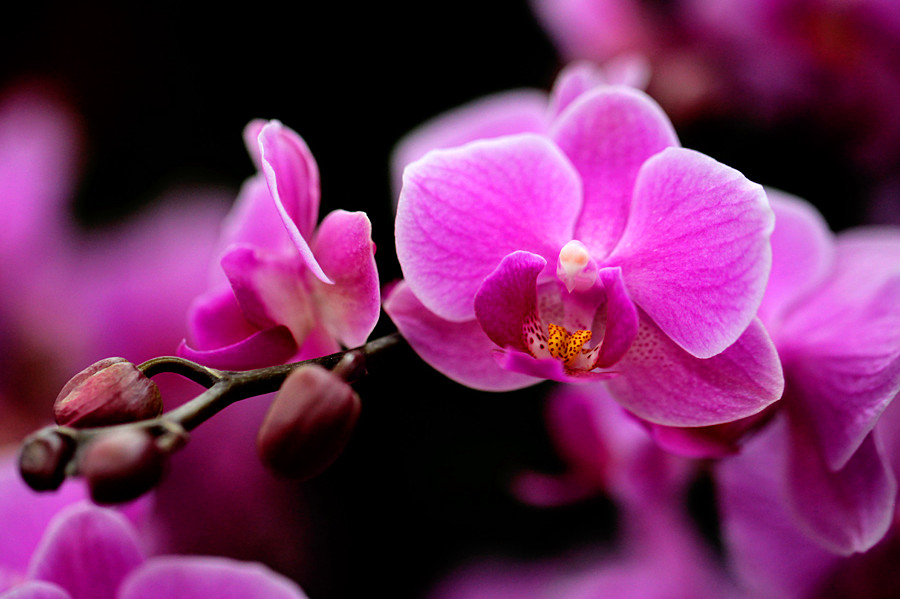 ������_���� (2).jpg