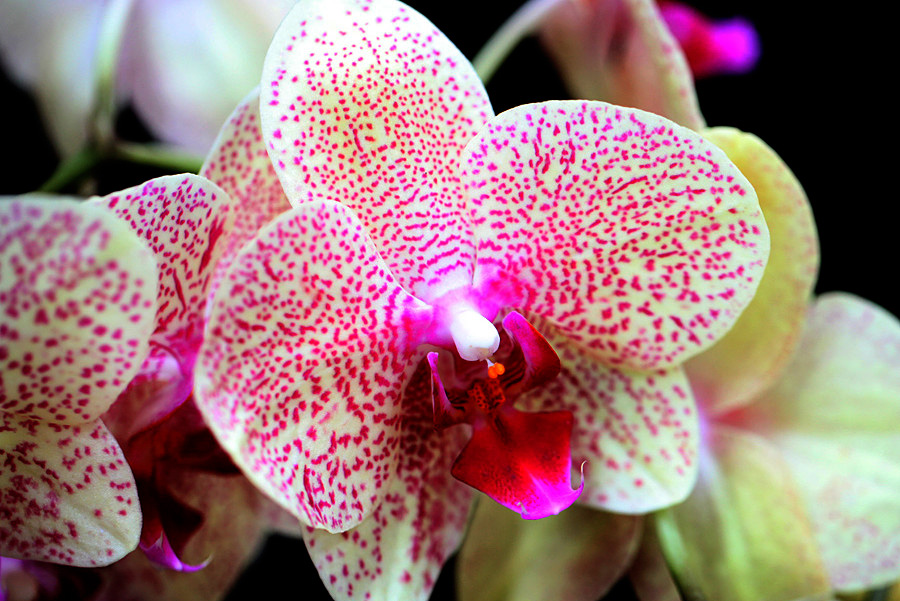 ������_���� (1).jpg