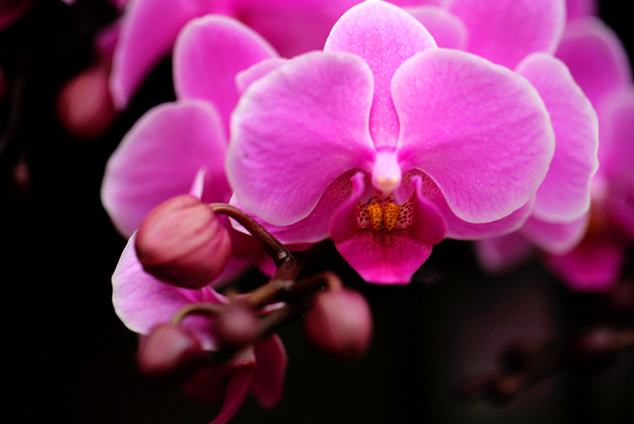 ������_���� (3).jpg