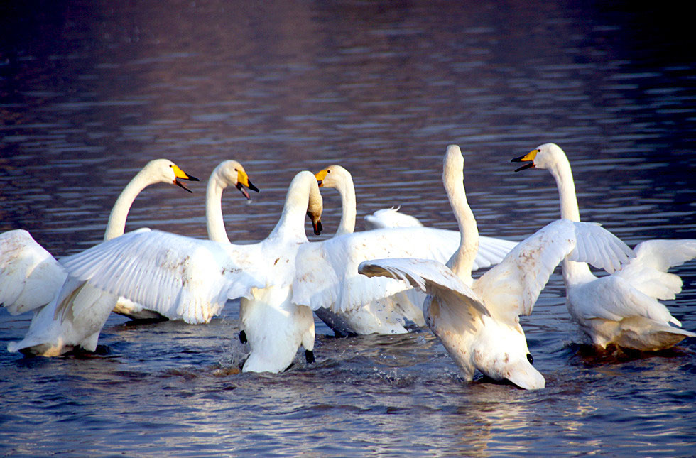 ����� 399 (35)_����.jpg