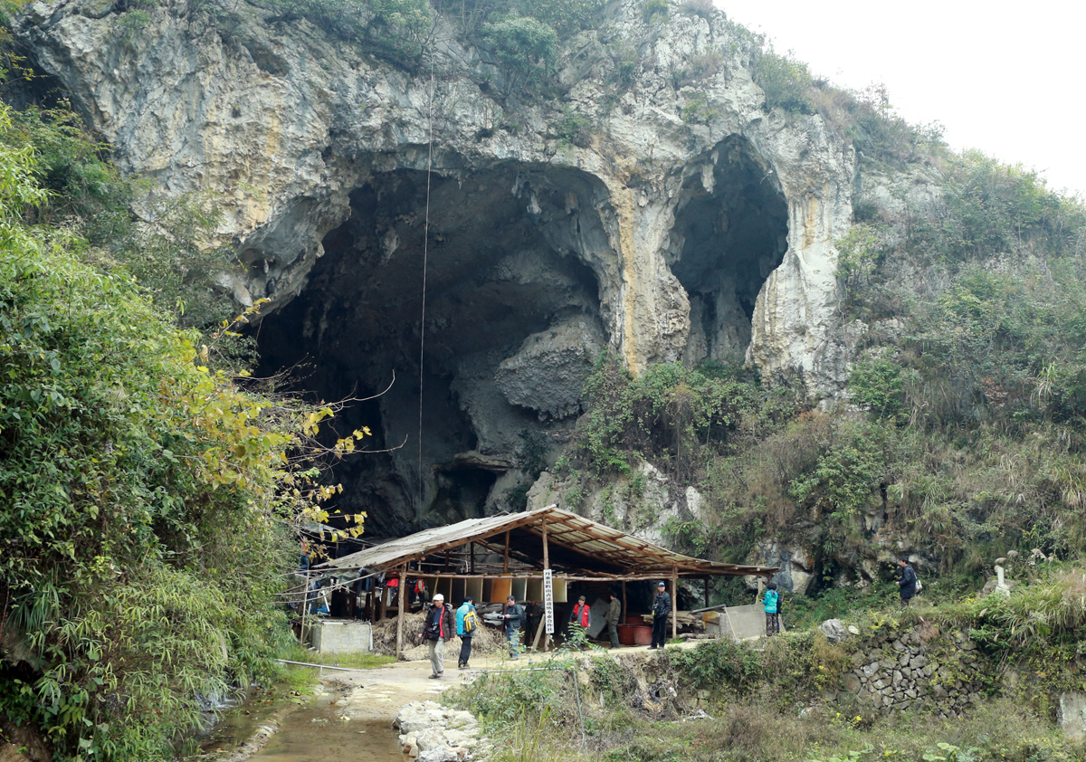 �й��ŷ���ֽ����