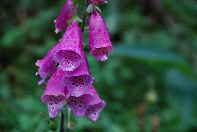 ��֪���Ĵ���