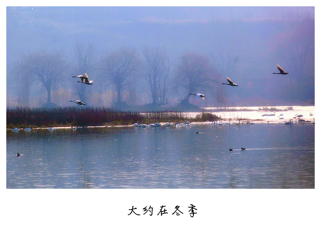 2013��� (198)_����_����.jpg