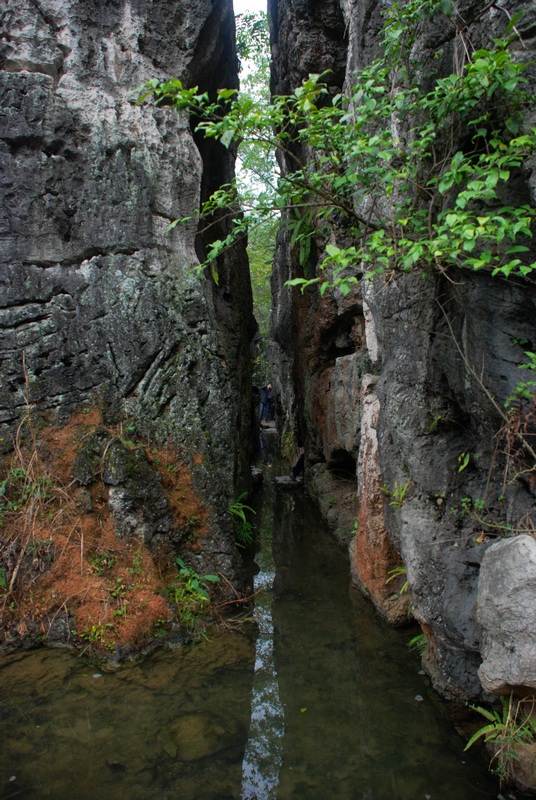 �����ž�������һ����